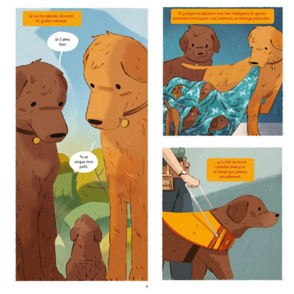 Ours – Image 2